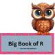 Big Book of R